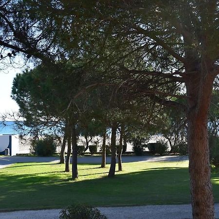 Le Byblos 9 - Vue Mer - Climatisation Plage dʼArgelès Eksteriør bilde