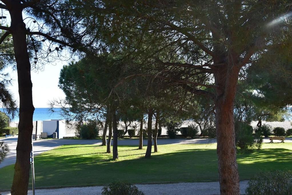 Le Byblos 9 - Vue Mer - Climatisation Plage dʼArgelès Eksteriør bilde